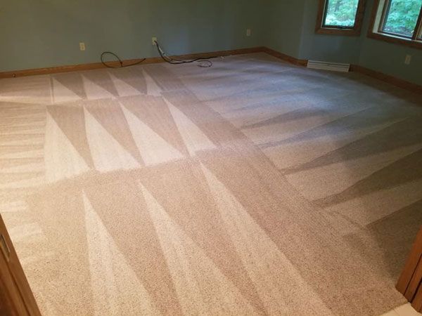 Carpet Cleaning Results