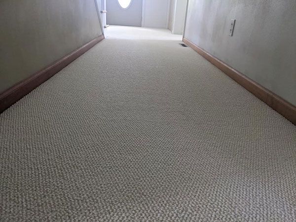 Clean Carpets in Wisconsin