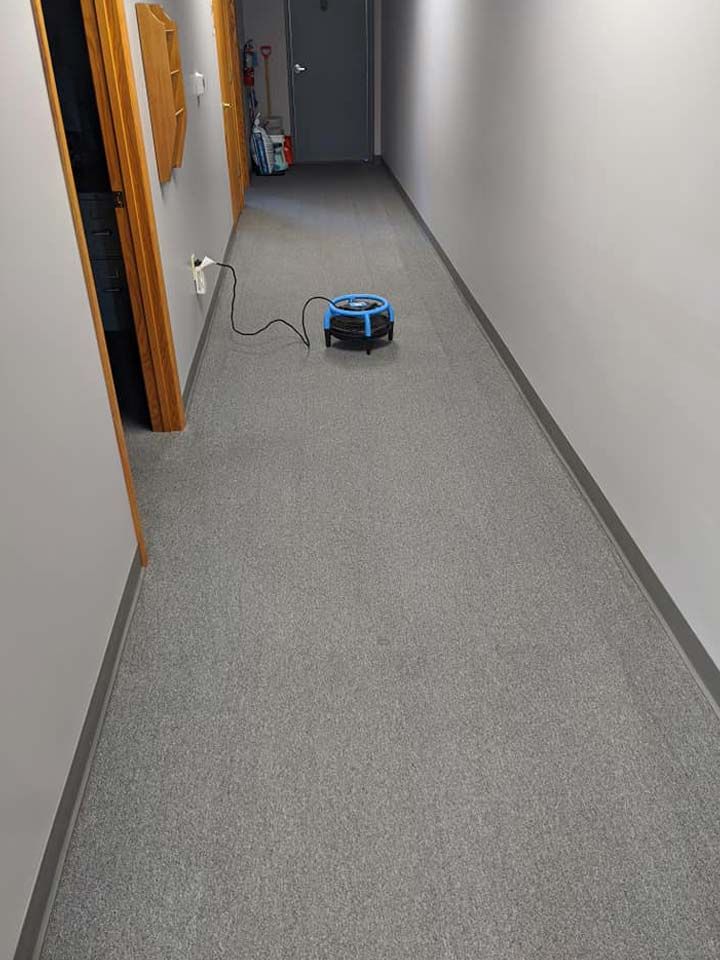 Commercial Carpet Cleaning for Offices