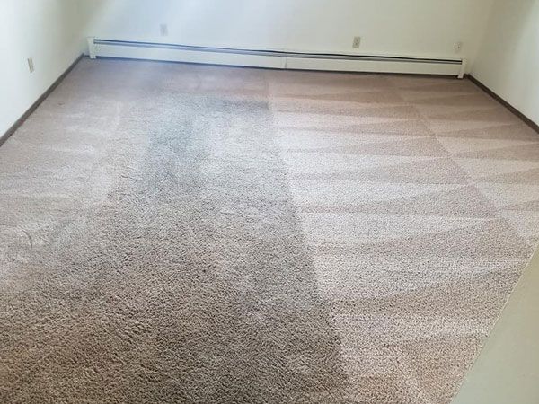 Before And After Carpet Cleaning