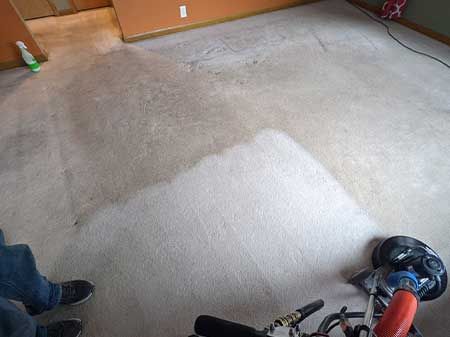 The Best Carpet Cleaning Results
