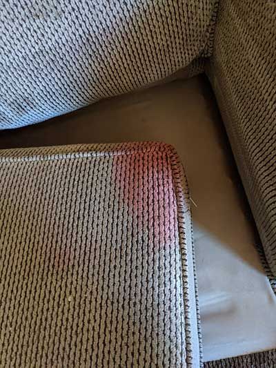 Before upholstery cleaning service