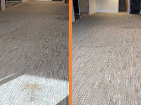 Carpet Cleaning Results
