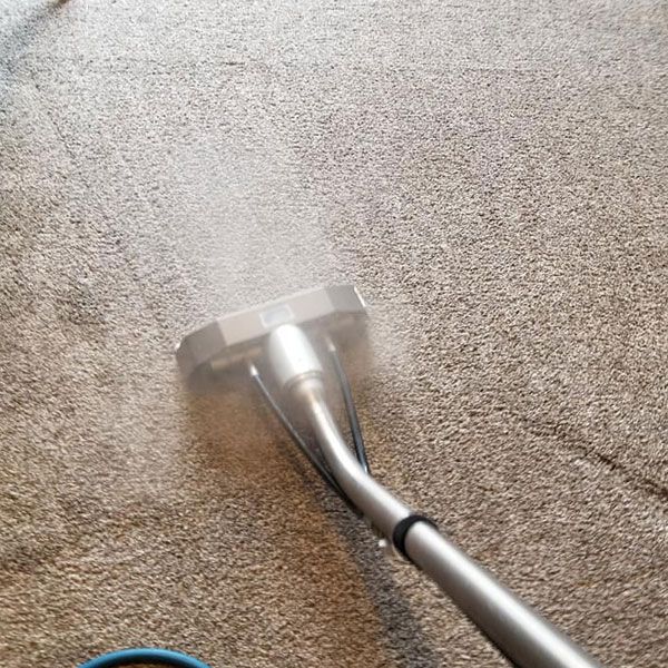 Affordable Steam Carpet Cleaning