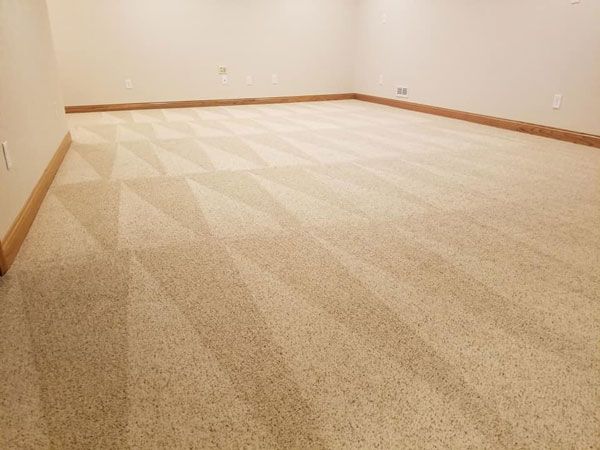 Affordable Carpet Cleaning