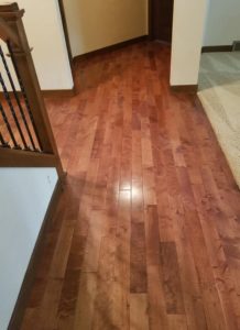 Hardwood Floor Cleaning in Appleton