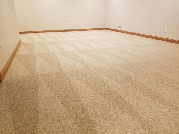 Affordable Carpet Cleaning