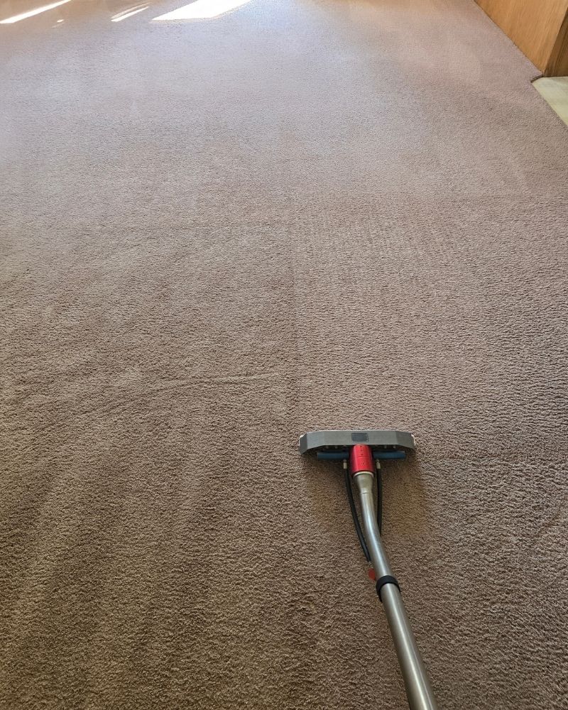 appleton-carpet-cleaning-case-study-results (1)