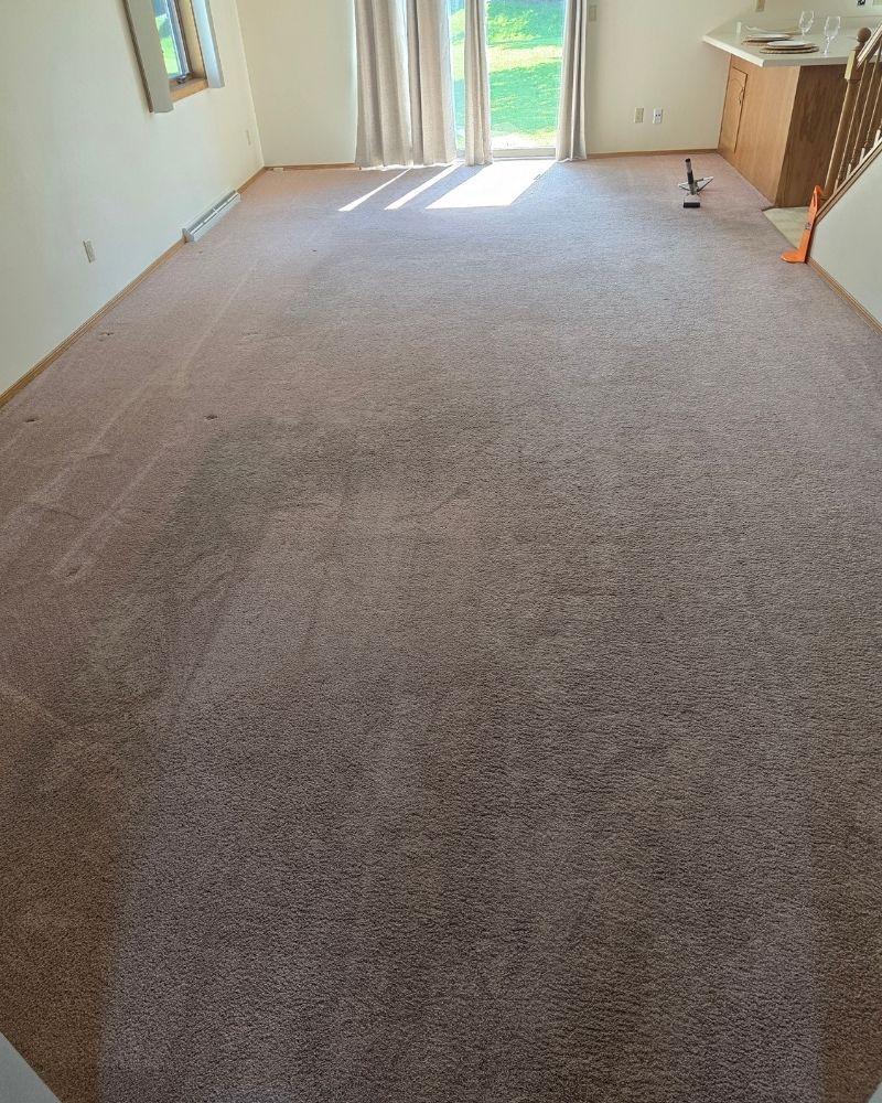 appleton-carpet-cleaning-case-study-results (2)