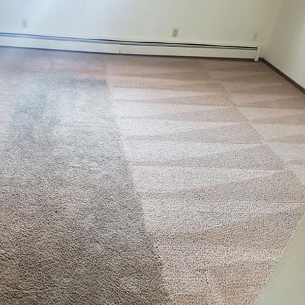 Carpet Cleaning Before and After