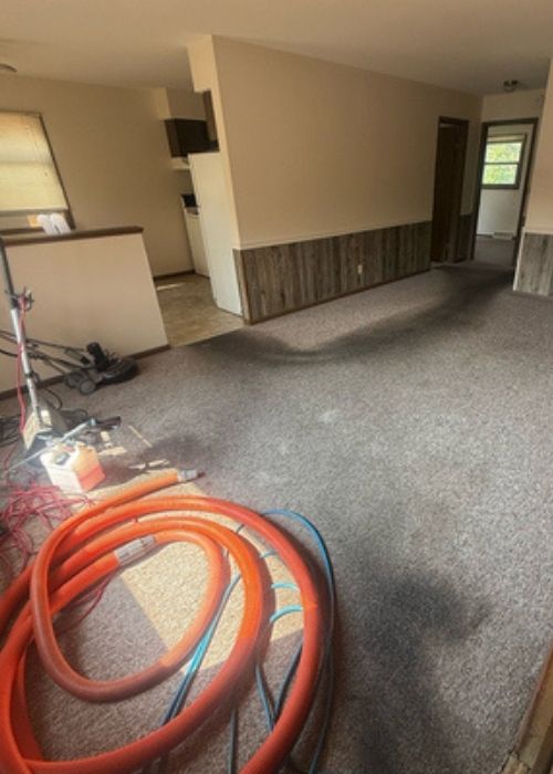 carpet-cleaning-waupaca-case-study-results
