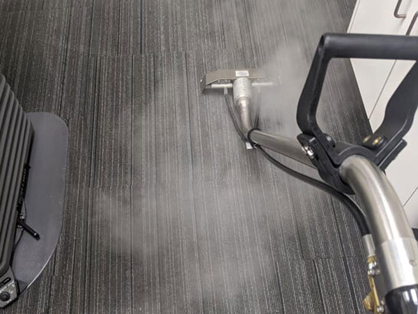 Commercial Carpet Cleaning Results