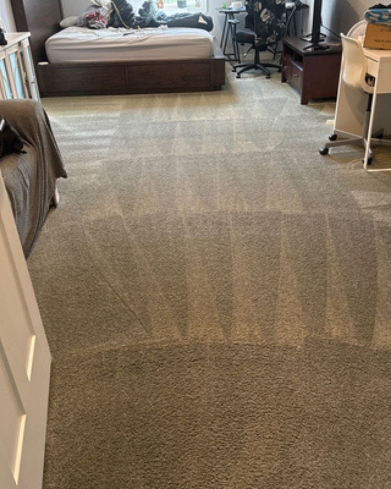 neenah-carpet-cleaning-case-study-results (1)