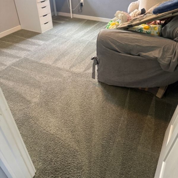 neenah-carpet-cleaning-case-study-results