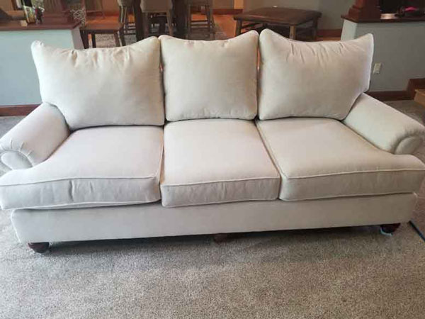 Professional Upholstery Cleaning