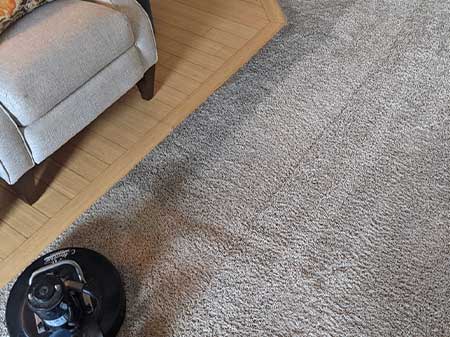 Showing Carpet Cleaning Results