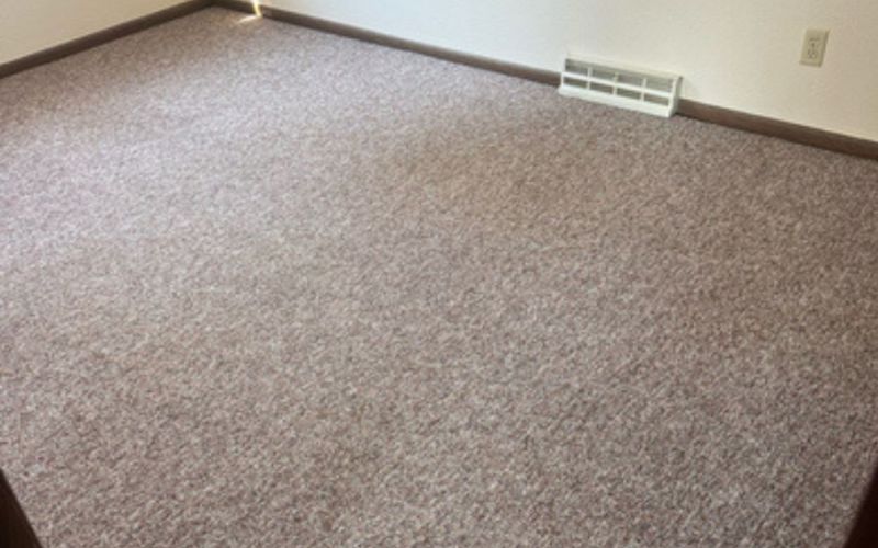 what-is-deep-carpet-cleaning-and-when-does-your-carpet-need-it